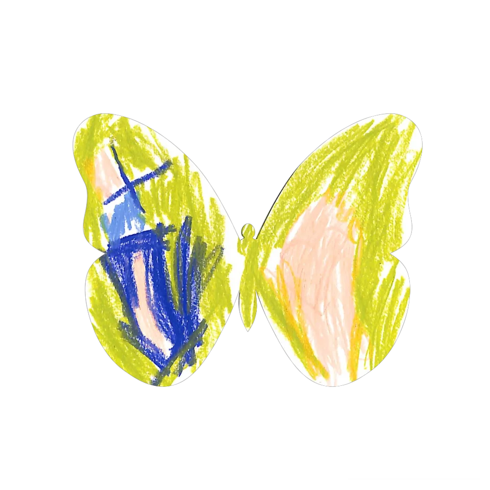 Original Butterfly Image