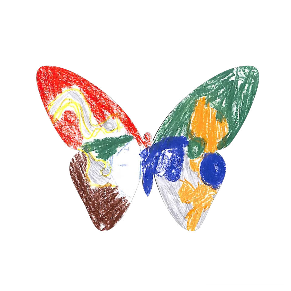 Original Butterfly Image