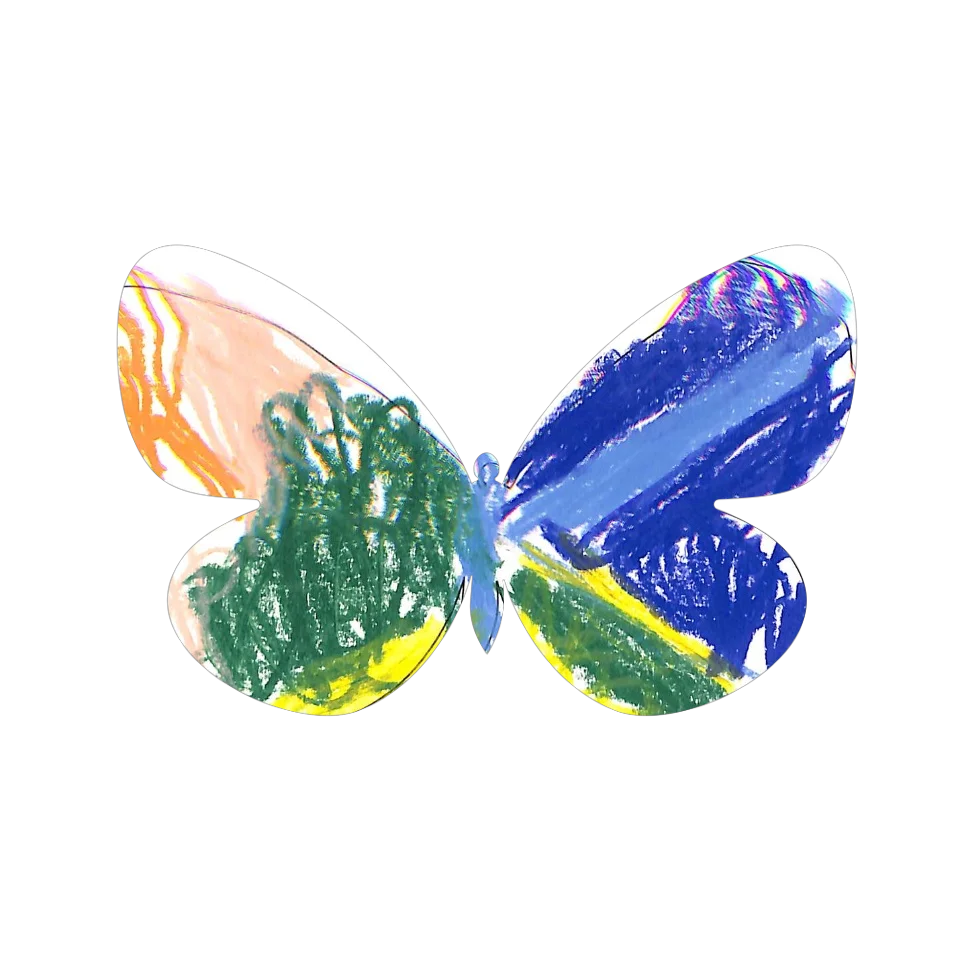 Original Butterfly Image