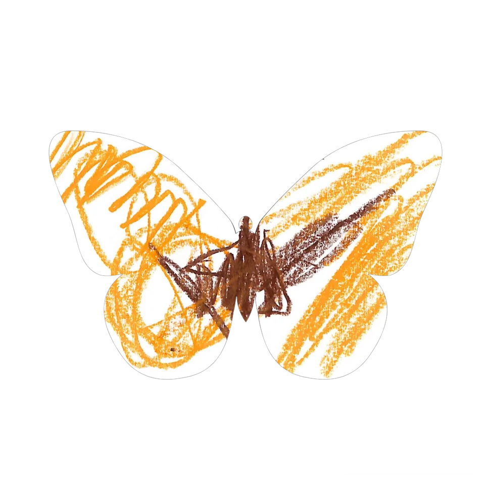 Original Butterfly Image