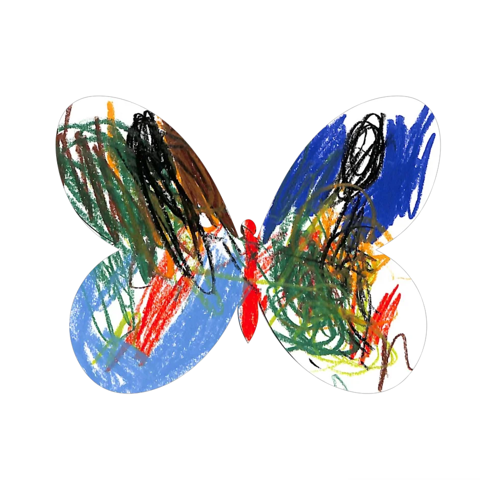 Original Butterfly Image