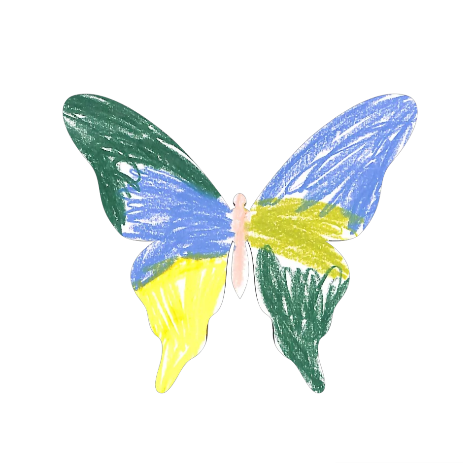Original Butterfly Image