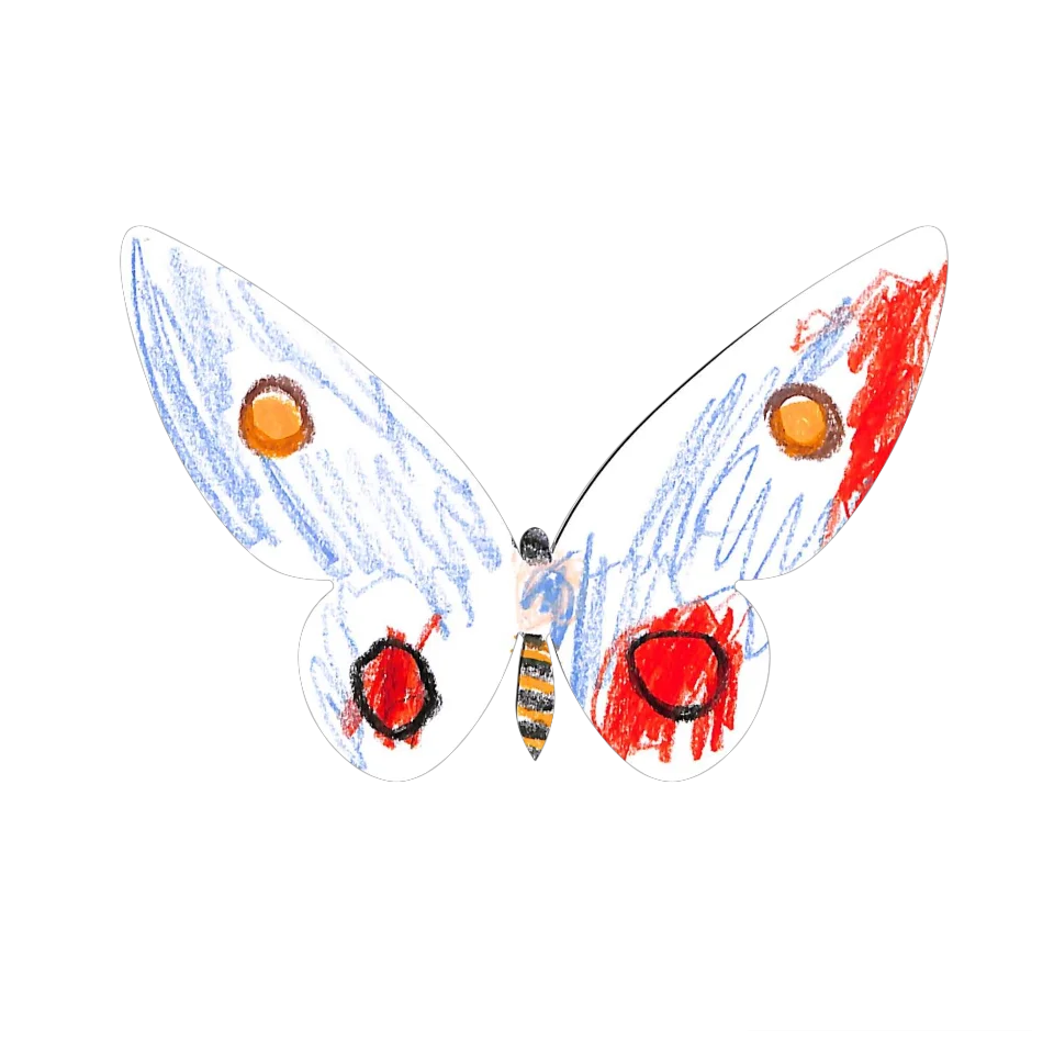 Original Butterfly Image