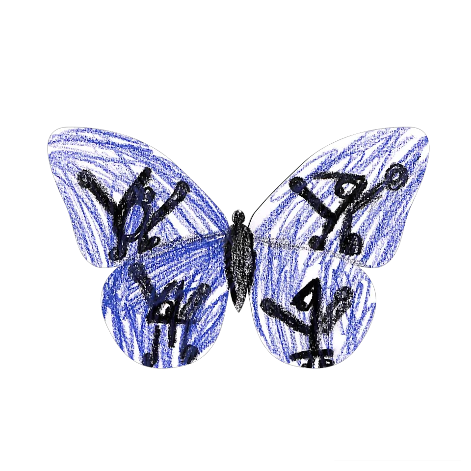 Original Butterfly Image