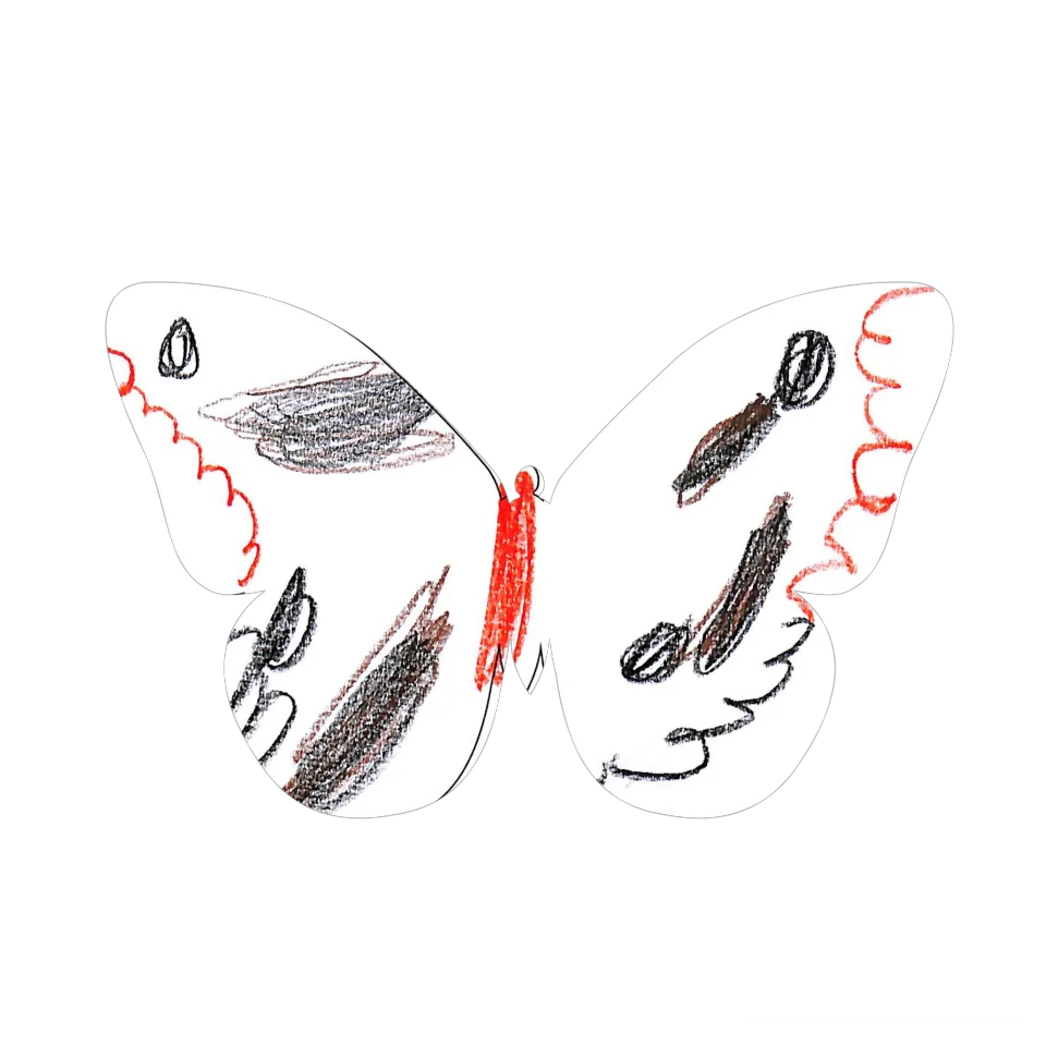 Original Butterfly Image