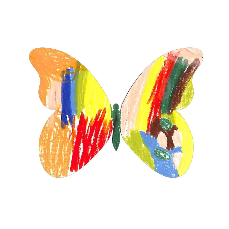 Original Butterfly Image