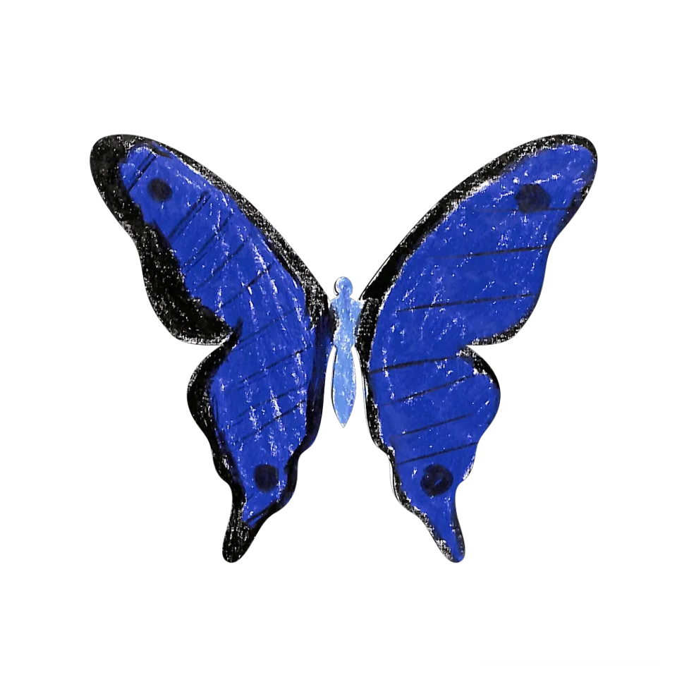 Original Butterfly Image