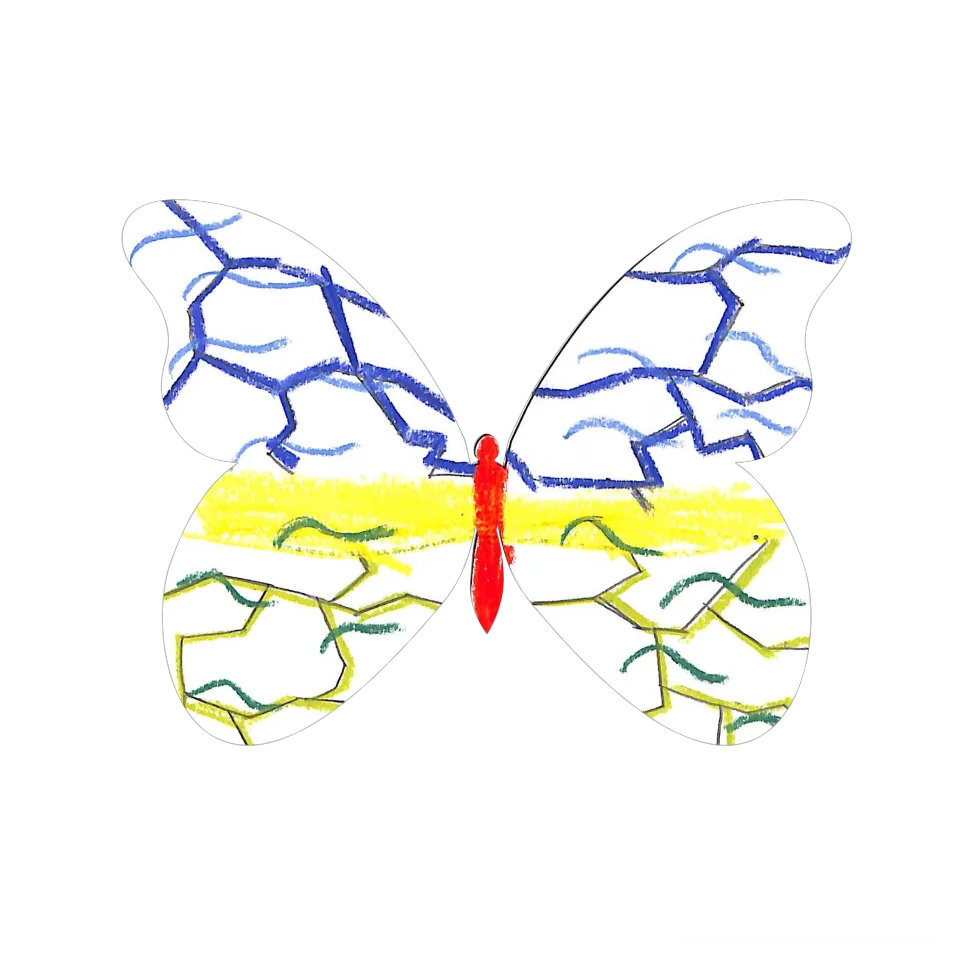 Original Butterfly Image