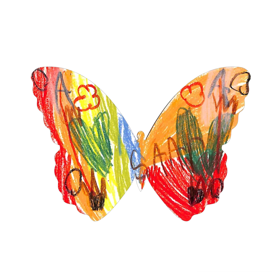 Original Butterfly Image