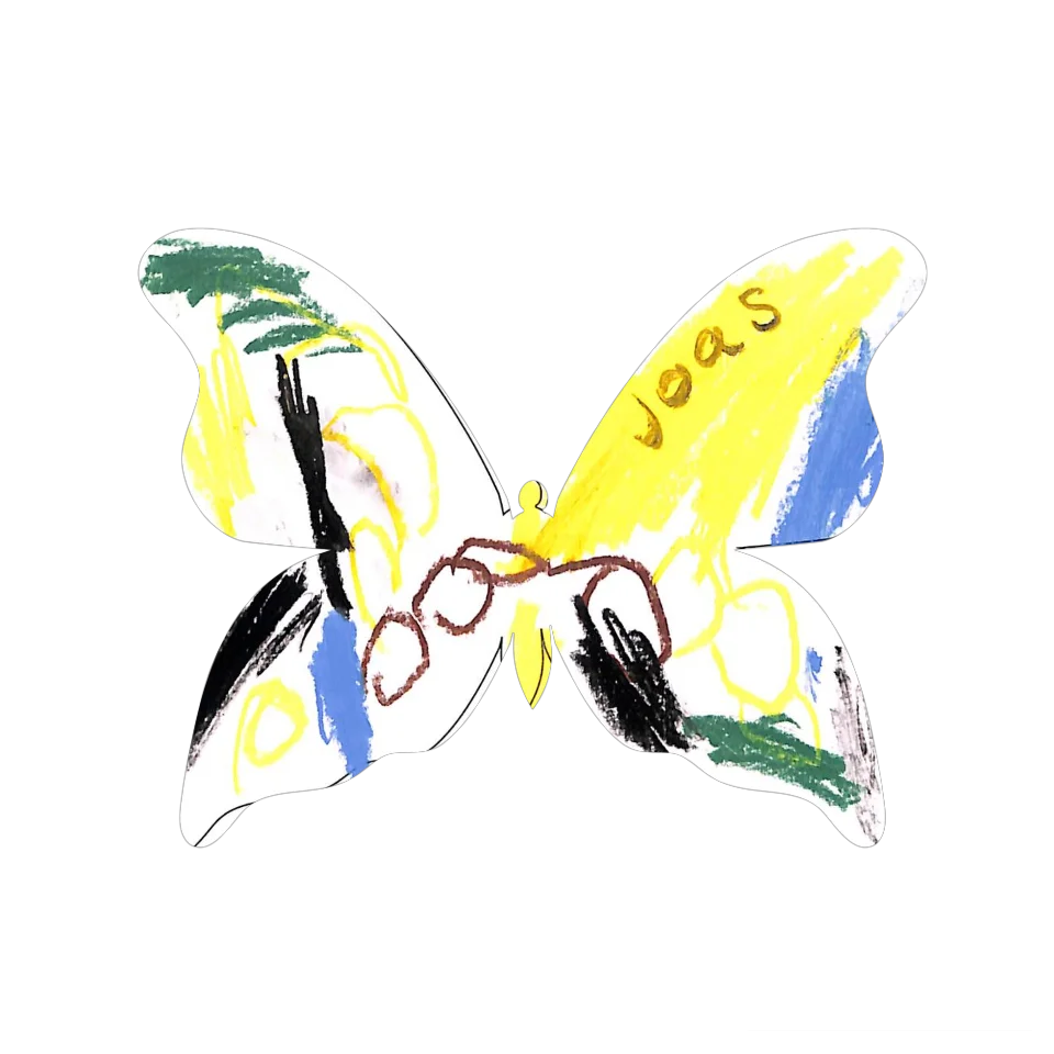 Original Butterfly Image