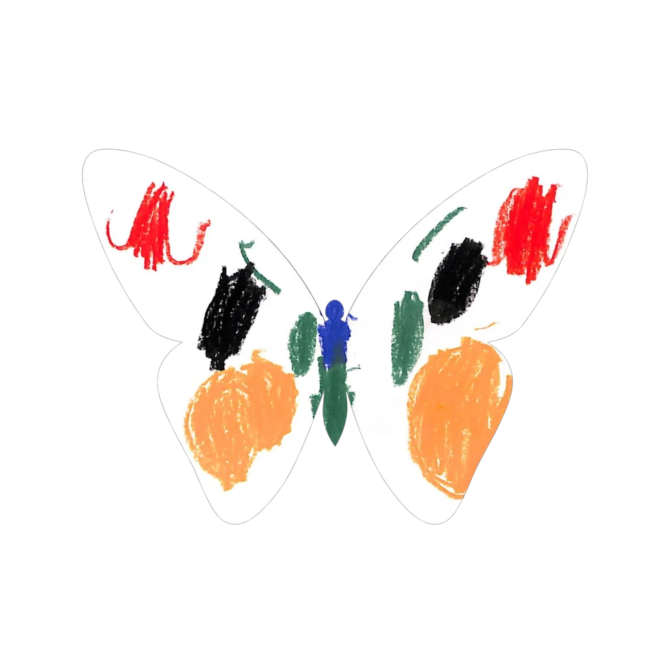 Original Butterfly Image
