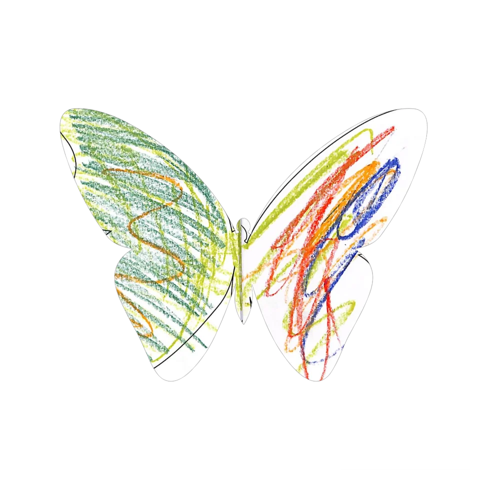 Original Butterfly Image