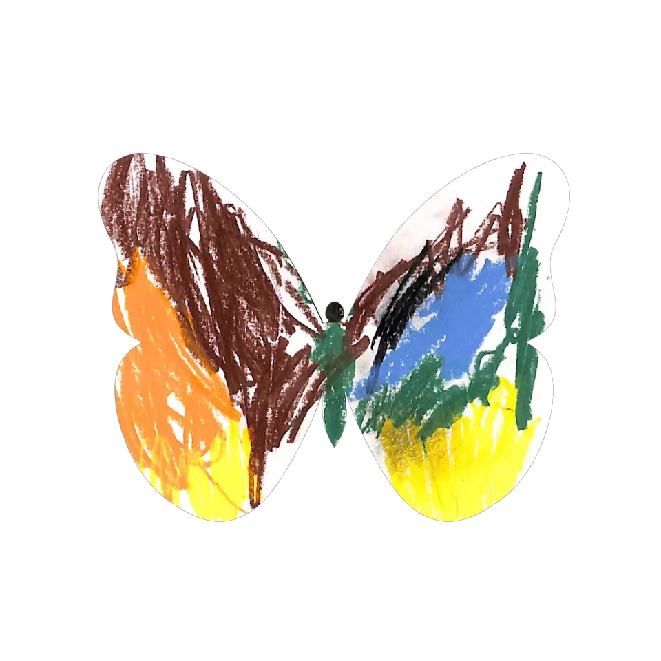 Original Butterfly Image