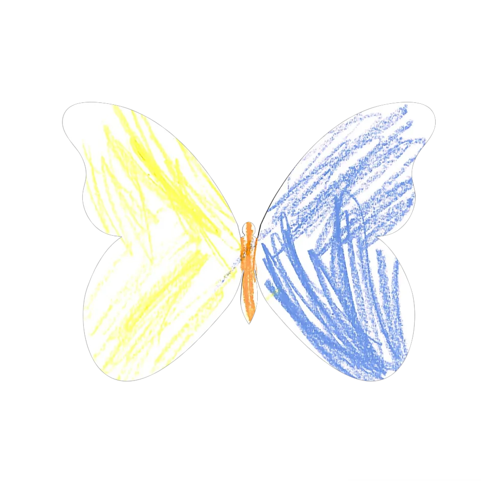 Original Butterfly Image