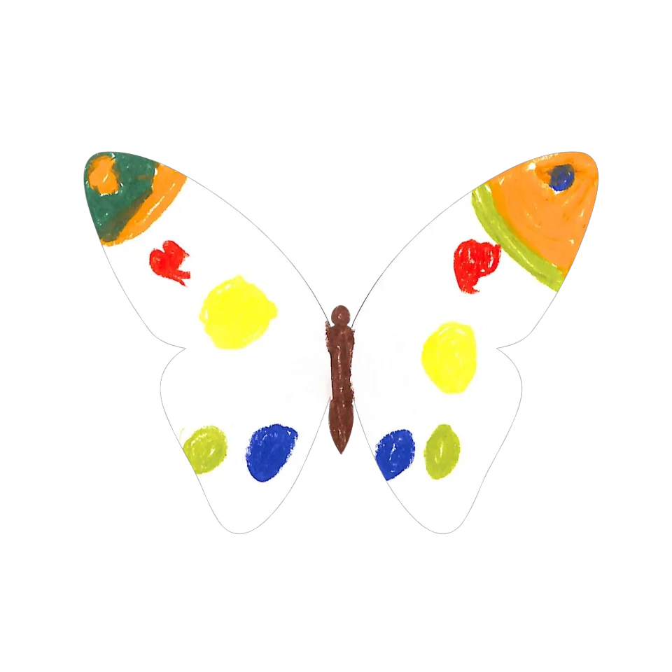Original Butterfly Image