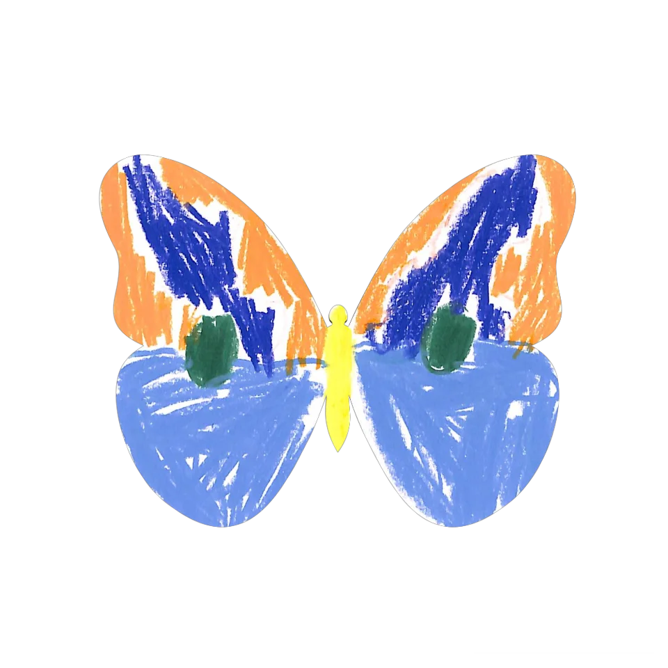 Original Butterfly Image