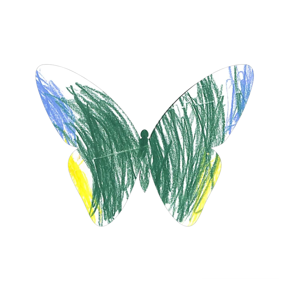 Original Butterfly Image