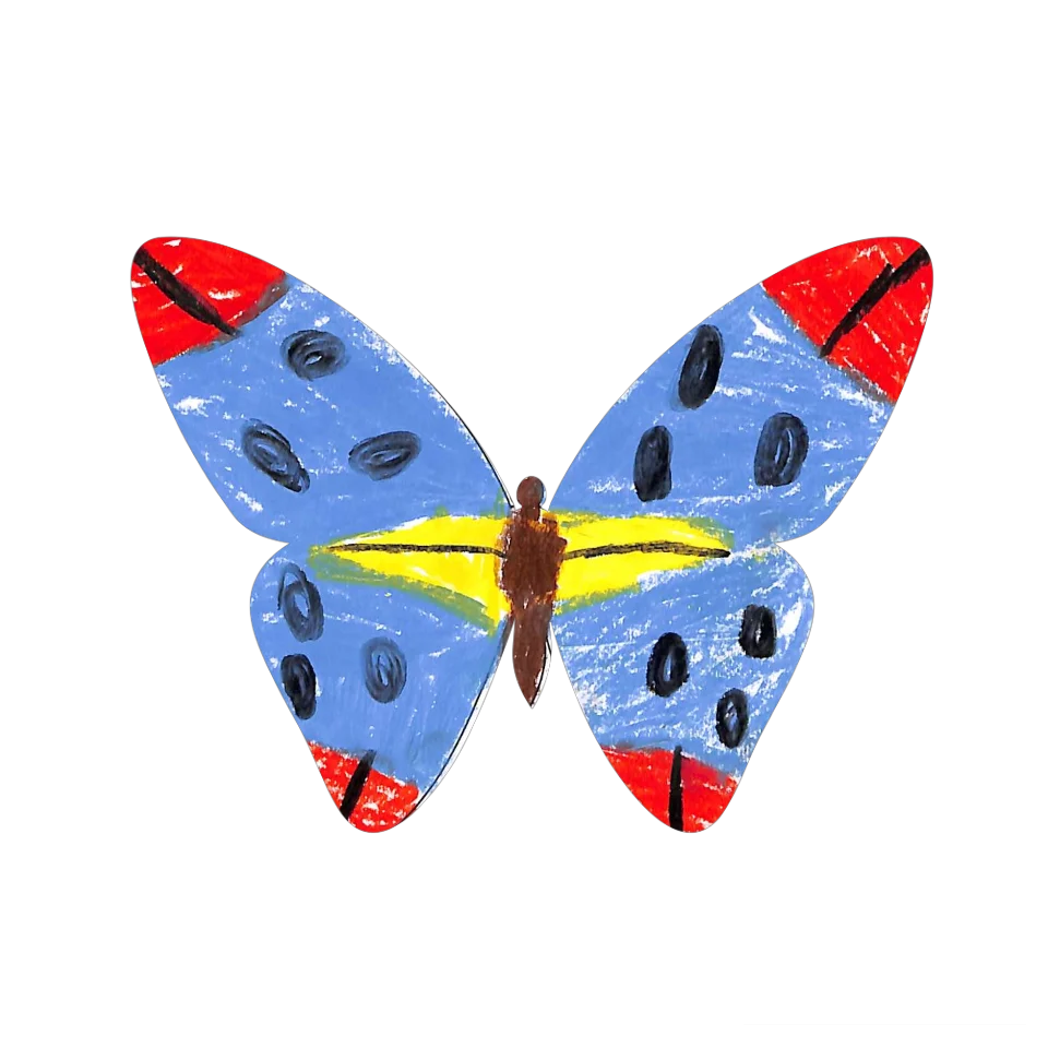 Original Butterfly Image