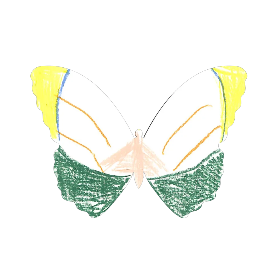 Original Butterfly Image