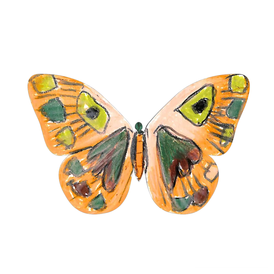 Original Butterfly Image