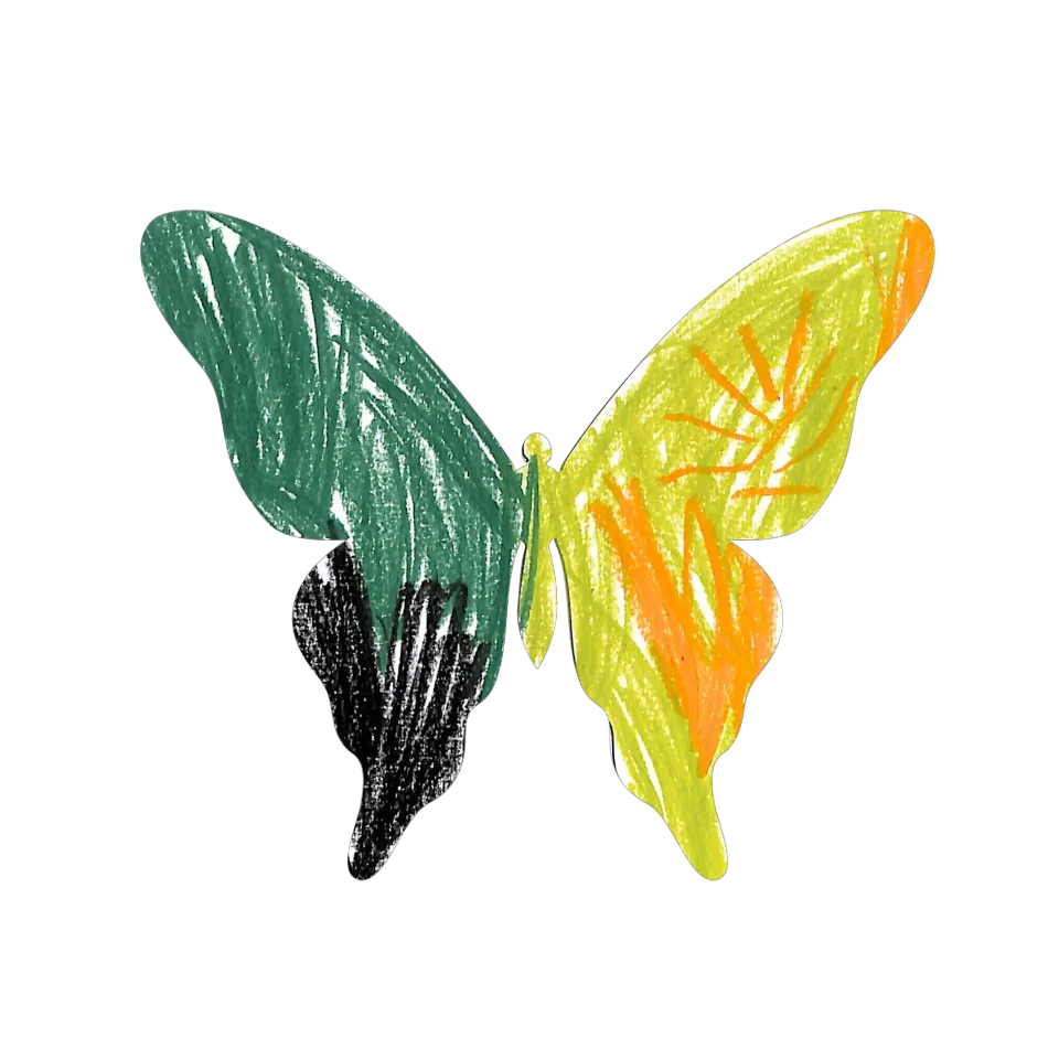 Original Butterfly Image