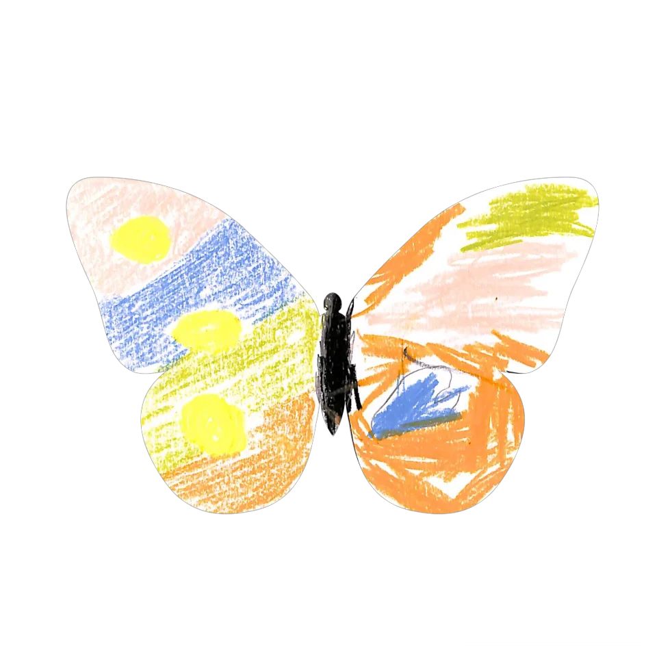 Original Butterfly Image