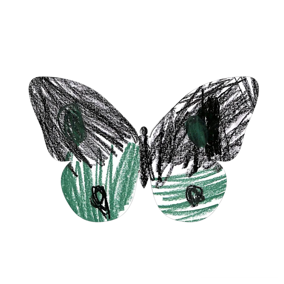 Original Butterfly Image