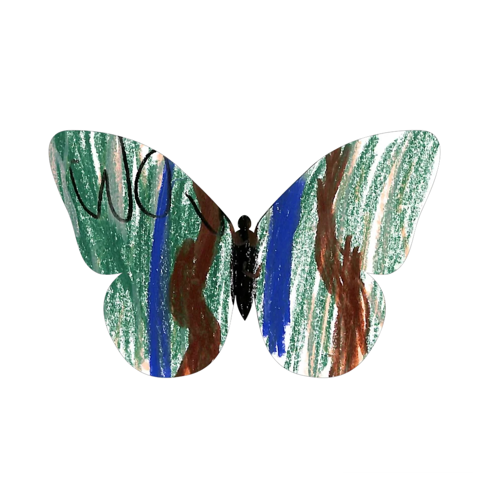 Original Butterfly Image