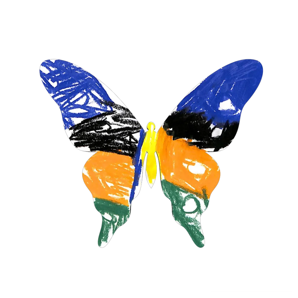 Original Butterfly Image