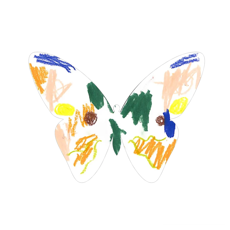 Original Butterfly Image