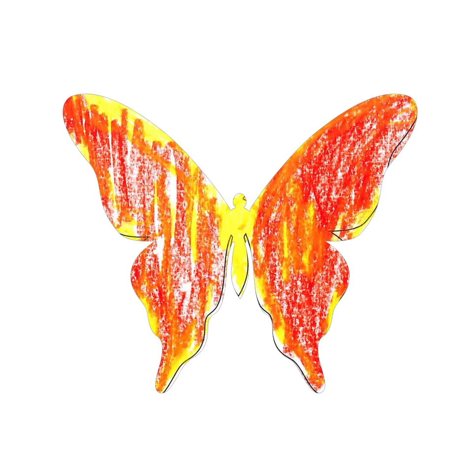Original Butterfly Image