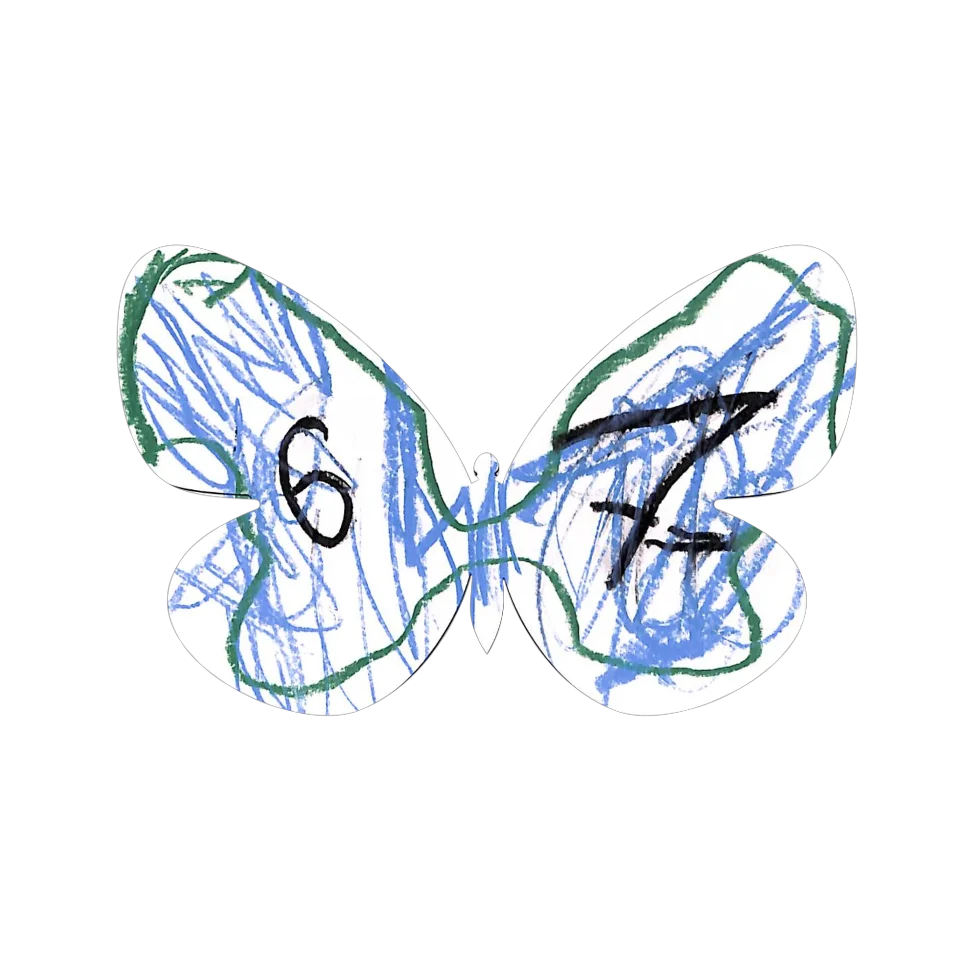Original Butterfly Image