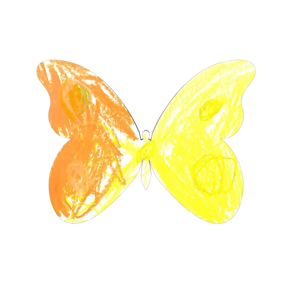 Original Butterfly Image