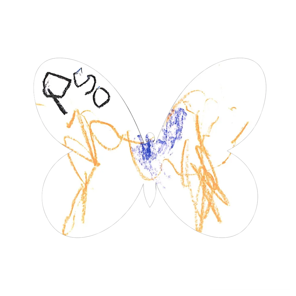 Original Butterfly Image