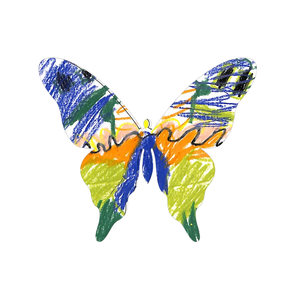 Original Butterfly Image