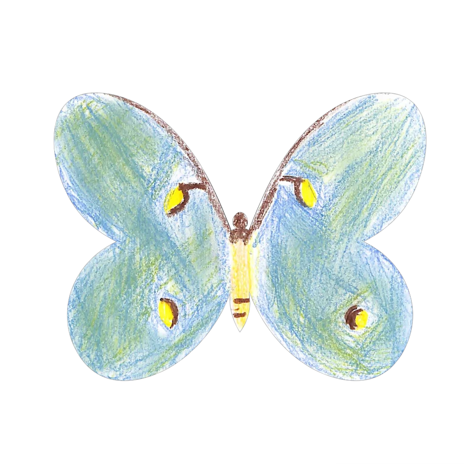 Original Butterfly Image