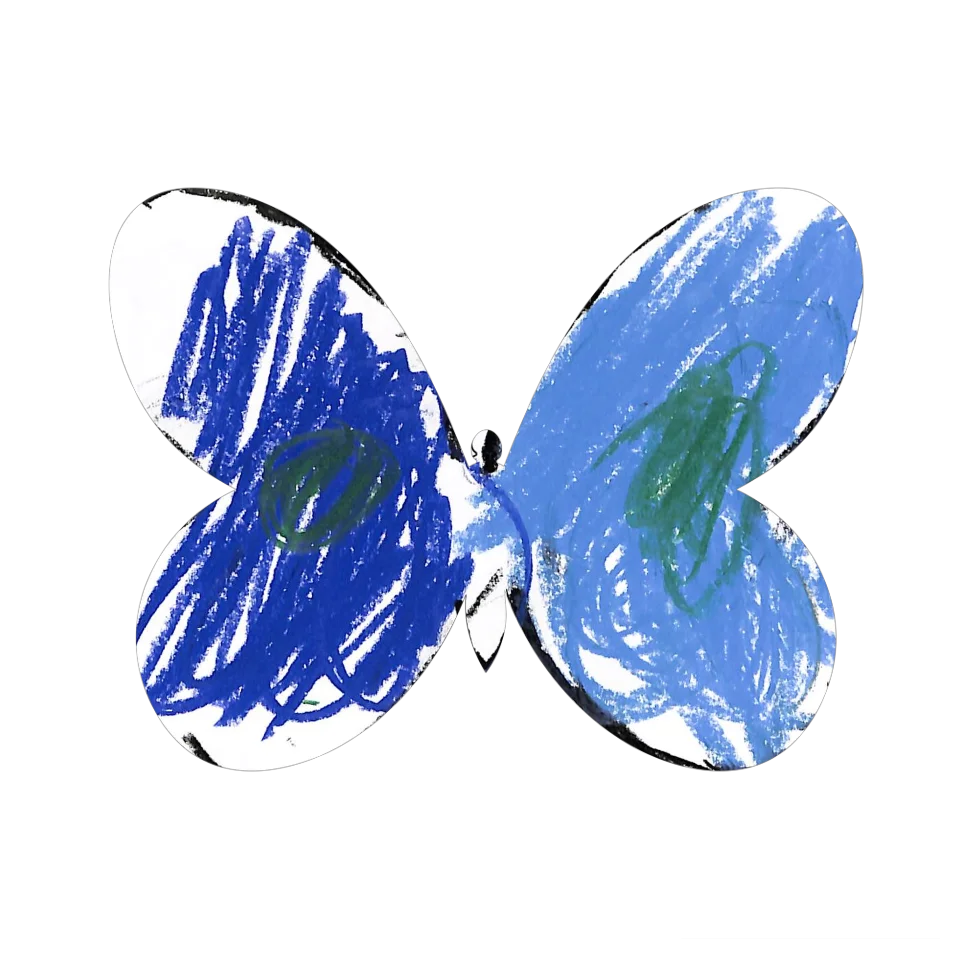 Original Butterfly Image