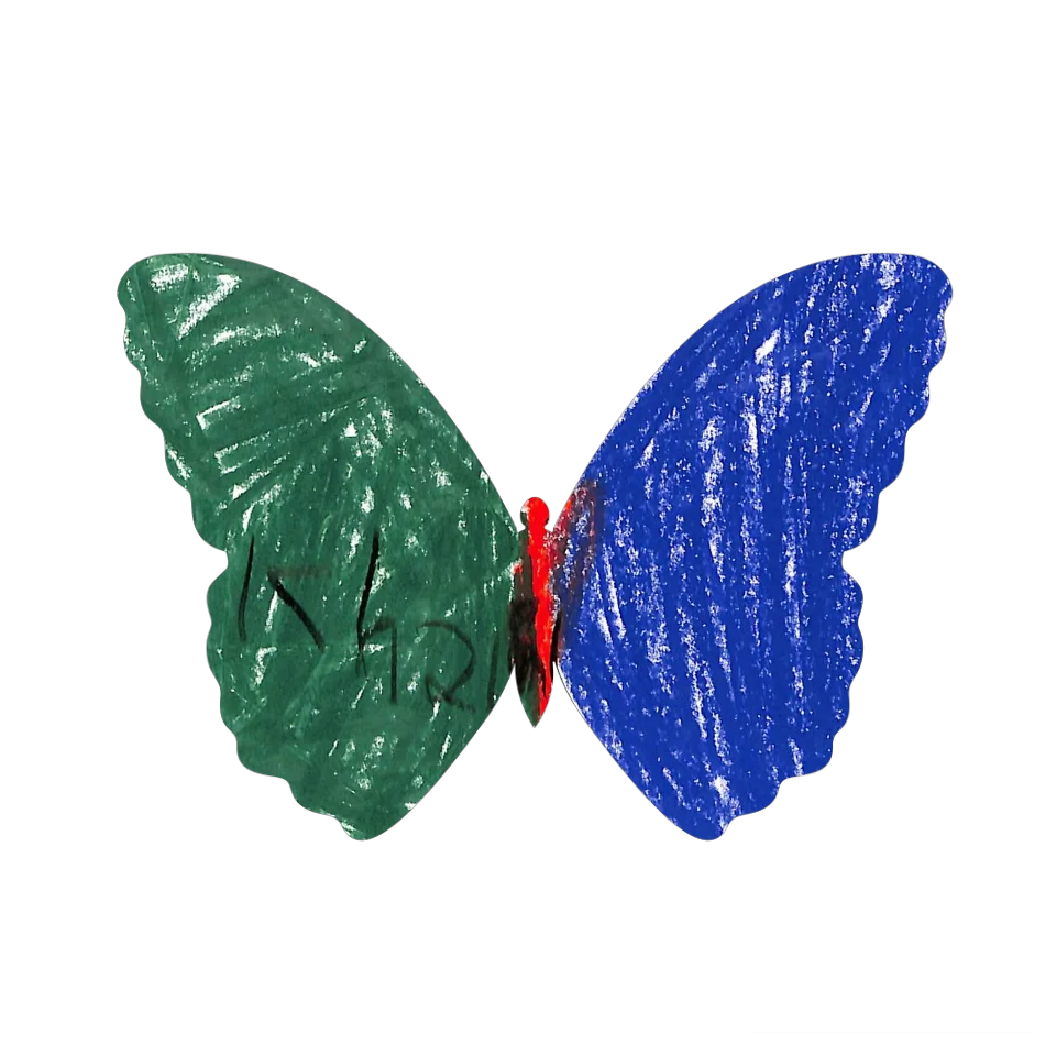 Original Butterfly Image