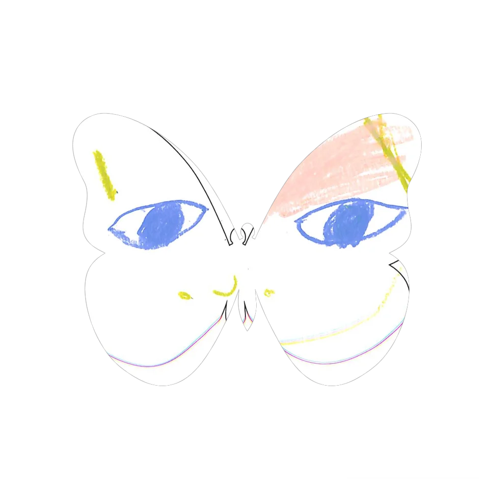 Original Butterfly Image