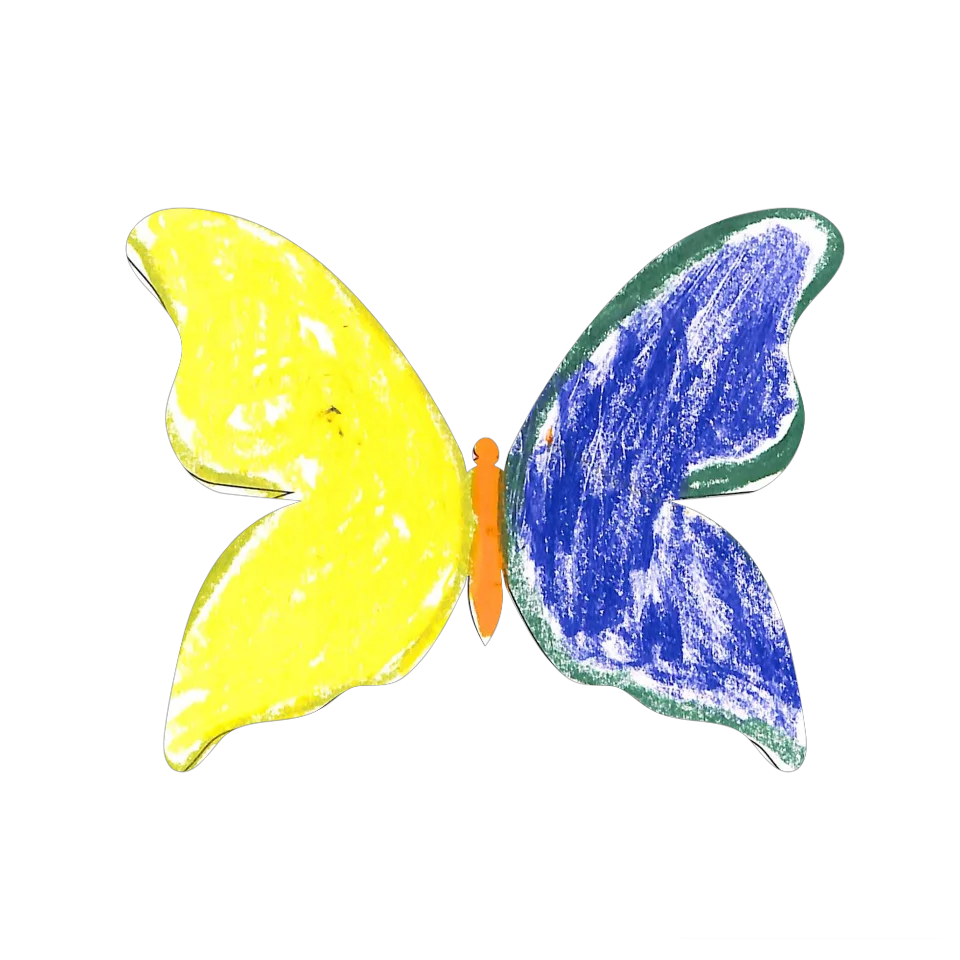 Original Butterfly Image