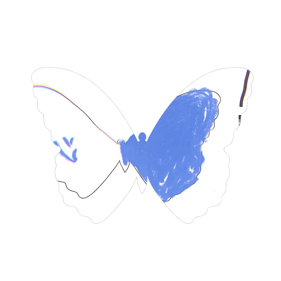 Original Butterfly Image