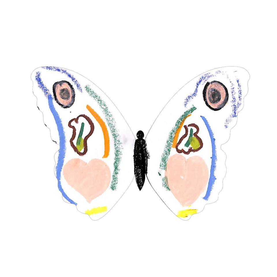 Original Butterfly Image