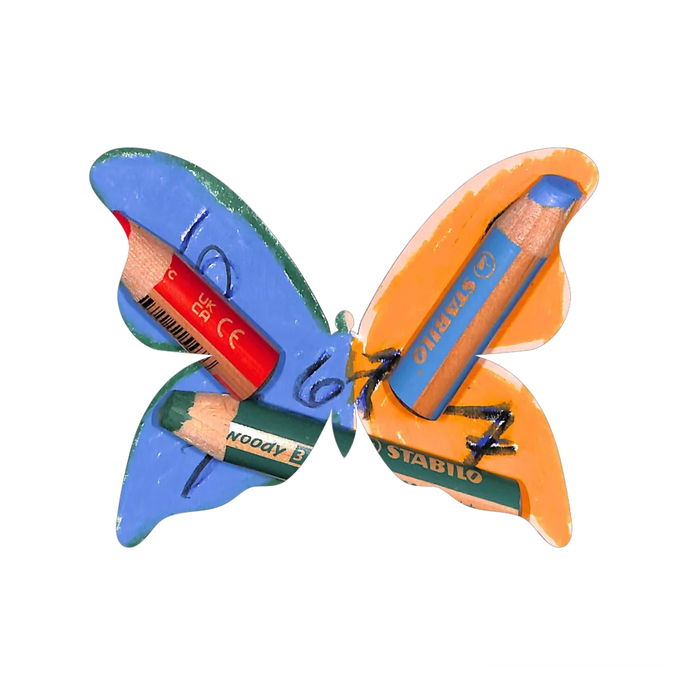 Original Butterfly Image