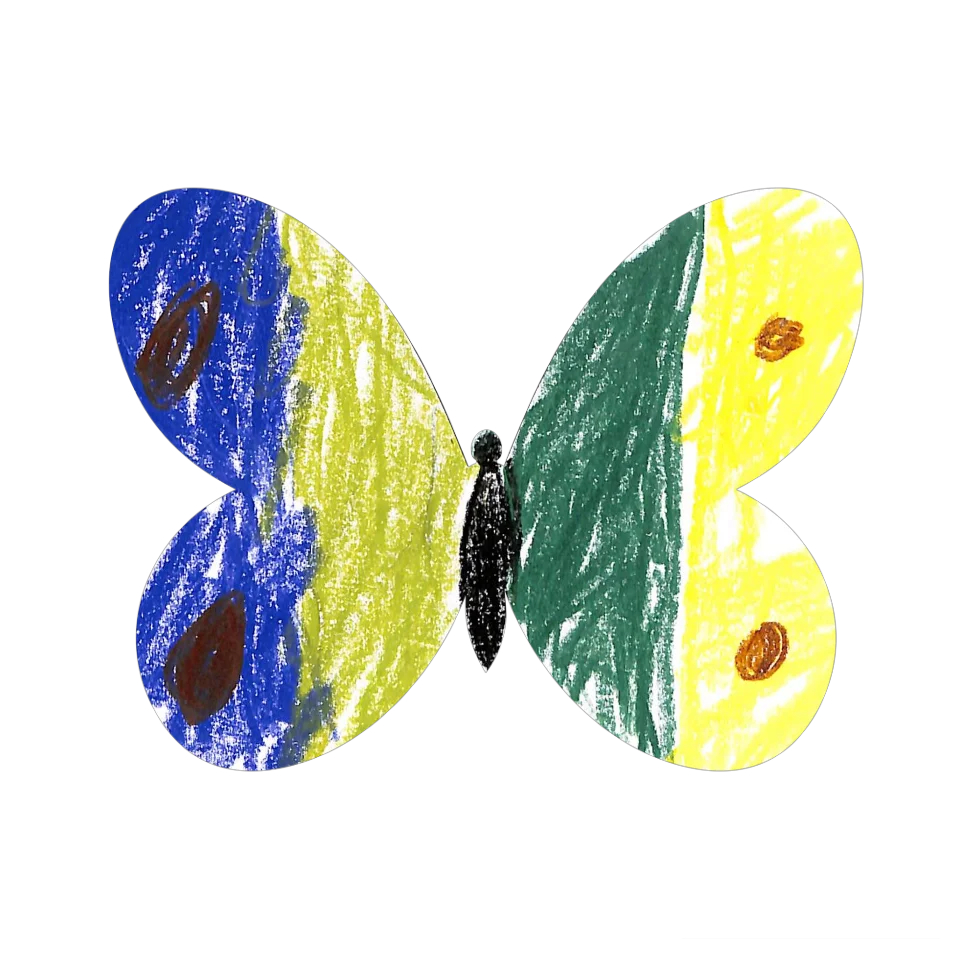 Original Butterfly Image
