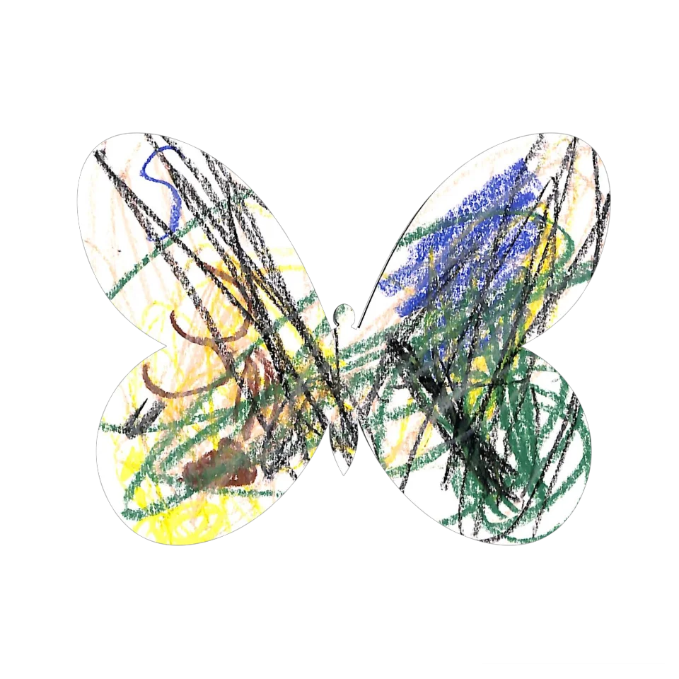 Original Butterfly Image