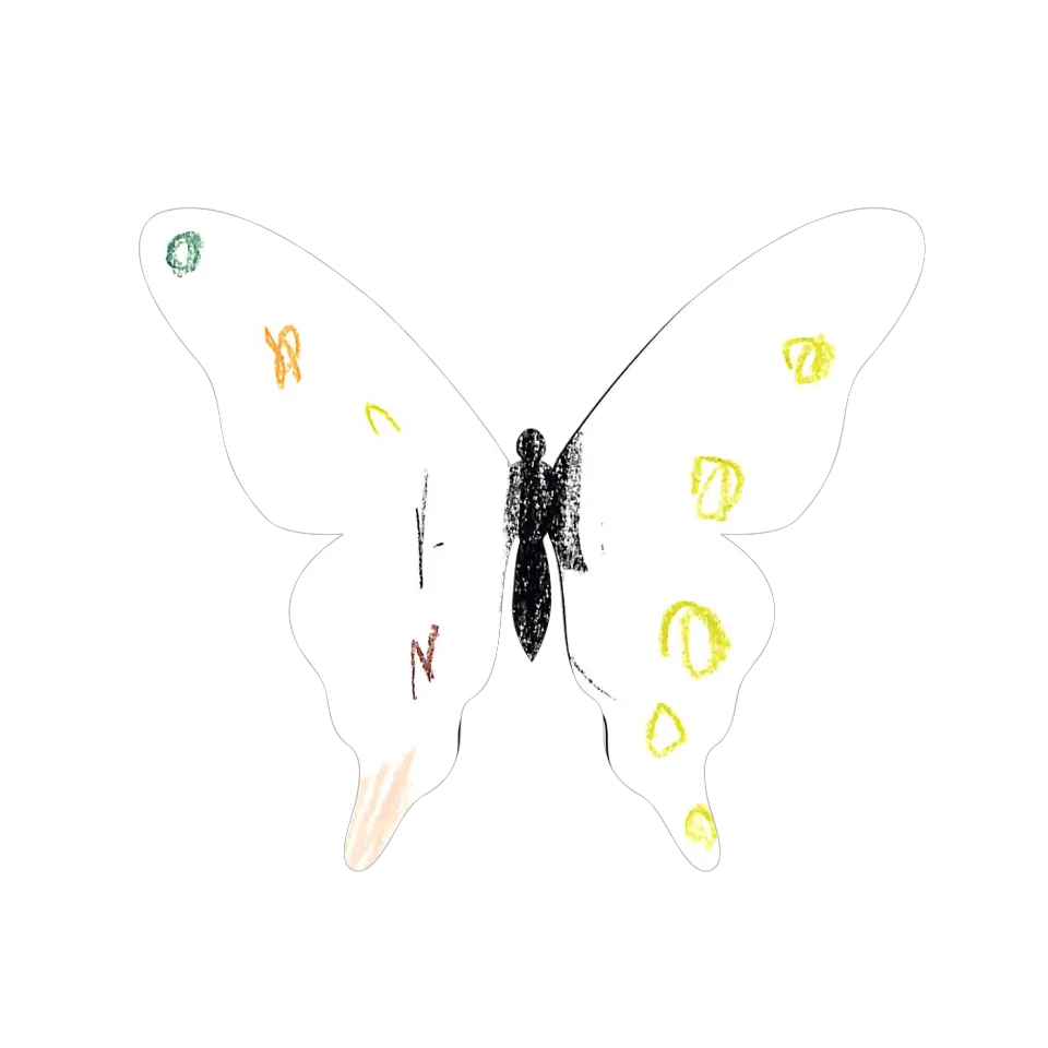 Original Butterfly Image