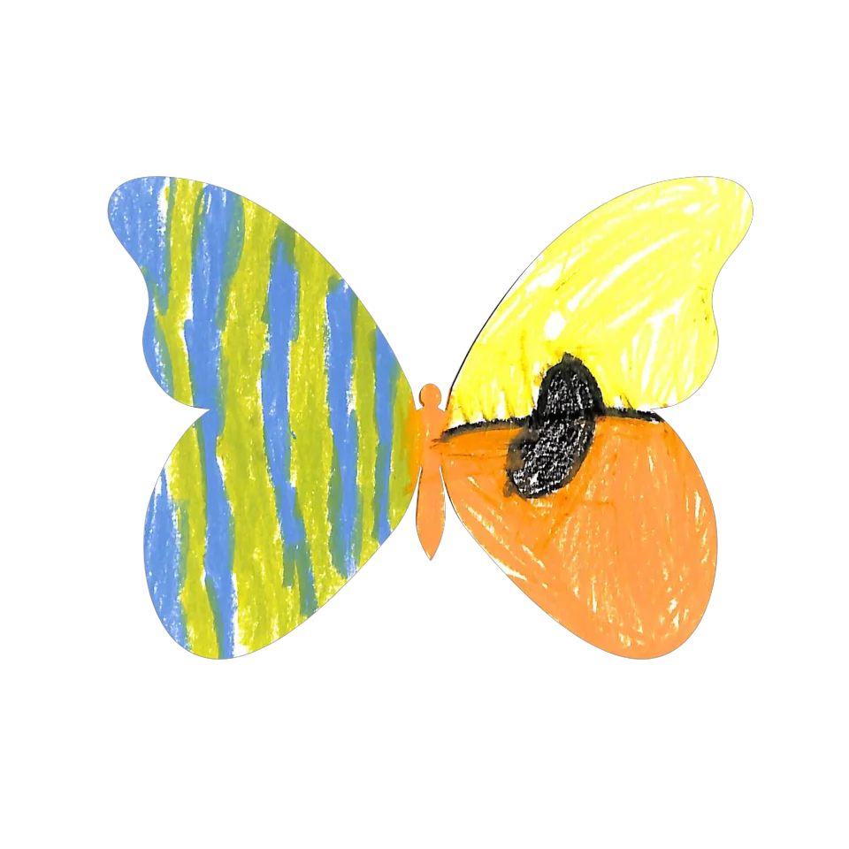Original Butterfly Image