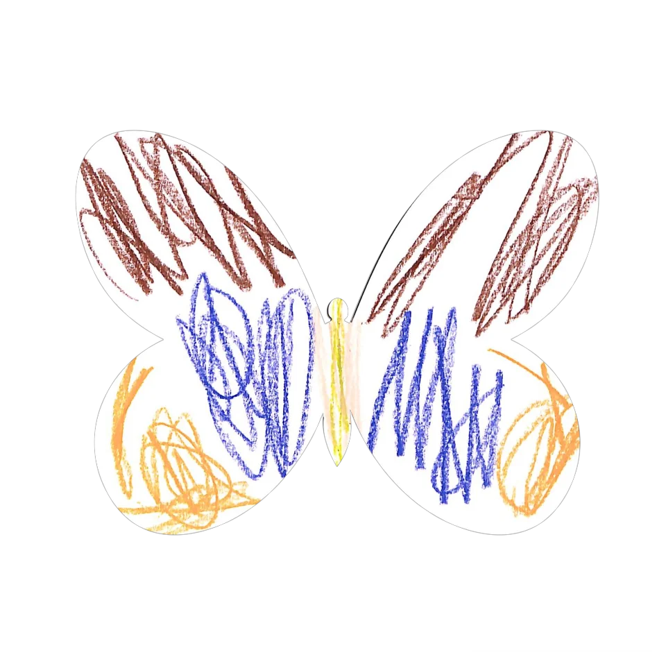 Original Butterfly Image