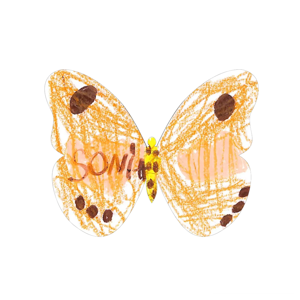 Original Butterfly Image