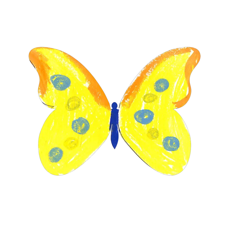 Original Butterfly Image